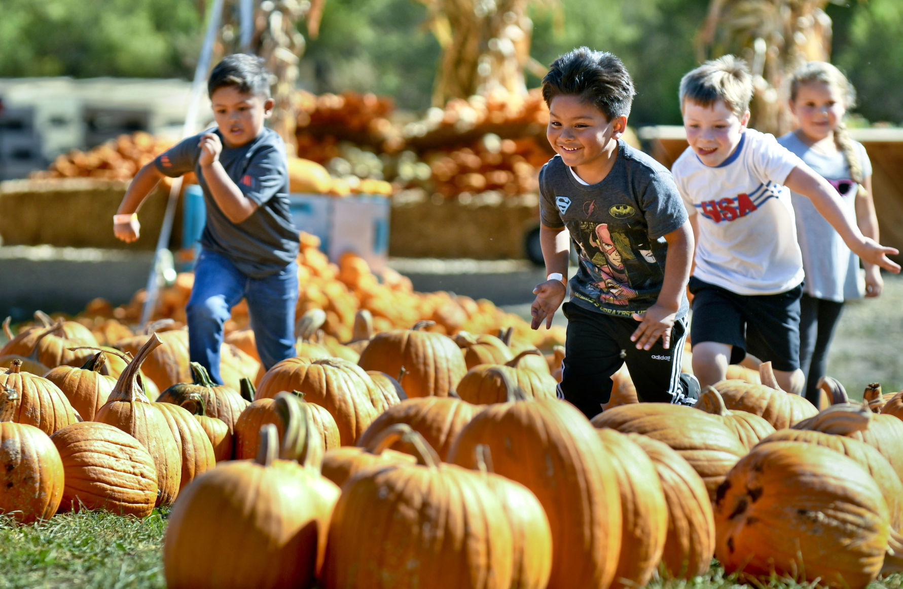 101119 The Patch 01.jpg